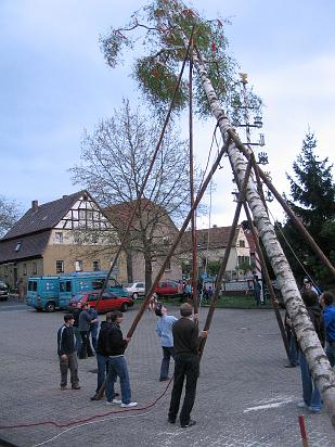 Maibaum 223.jpg